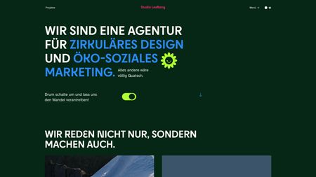 Home page of the Studio Leeflang website Image of the home page of the Studio Leeflang website